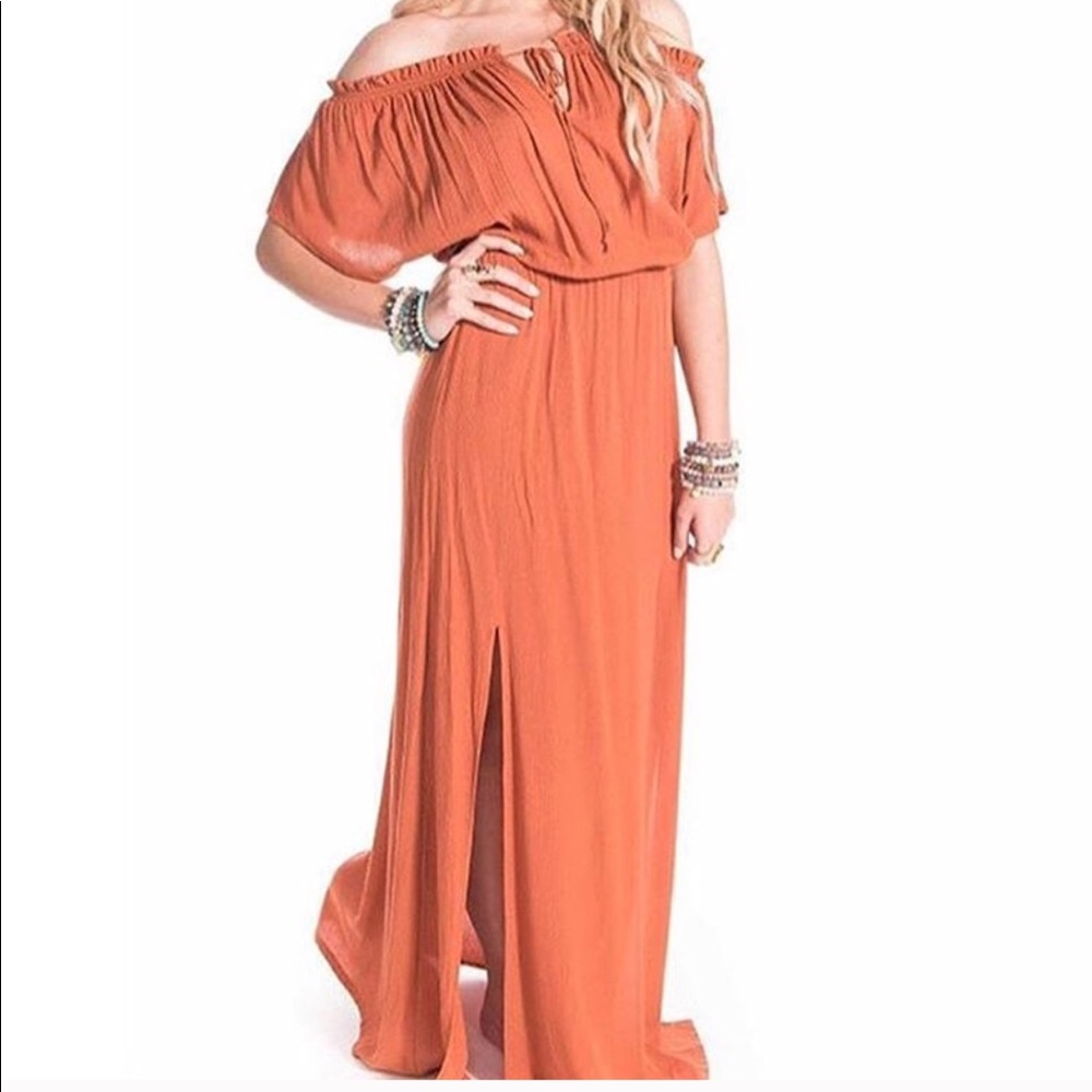 New with tag Smell the Roses Dress